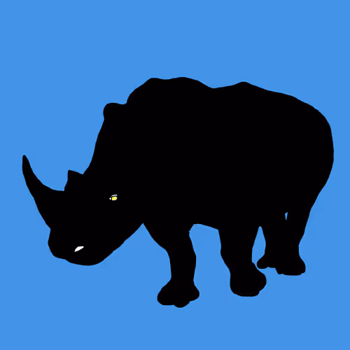 Item #23719157219344405114565846685502868048607638057936986317710031288555339251713 Media