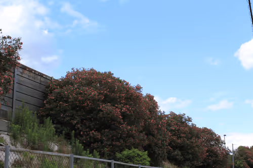 Item #46203775422947331303503035682945161977556730283234746633468375141764703453185 Media