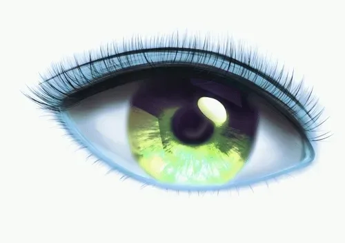 Item #42950694591796666568266939449637019646211598636303907727097118091394290810881 Media