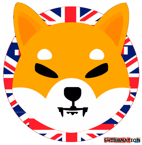 Item #57672164920816839200095776507979848439726541904350214725937847087891759497316 Media