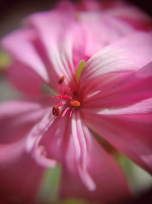 Item #53581876738018030526296833198765097323208142745183468553001527217105502470145 Media