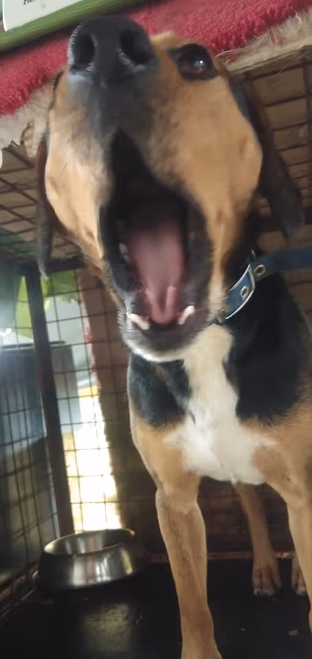 Item #23439807421783349604606688817165201350165750151979961366033252226003711819777 Media