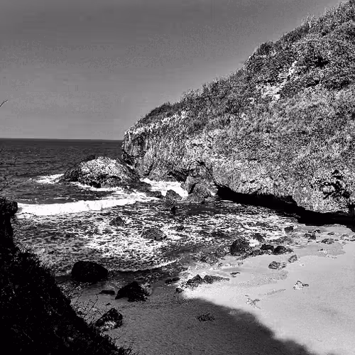 Item #31624274509119207472621893609913632294592170804295754614641563356967622148097 Media