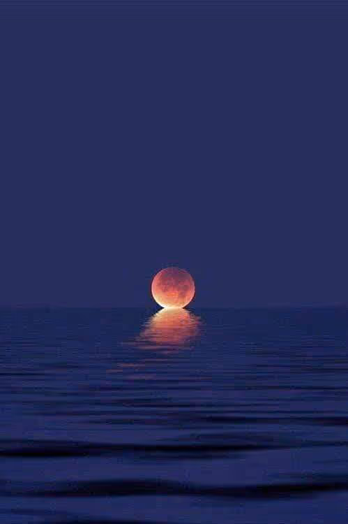 Item #47755341429098886689922569037637056584249267724639371353336675781260720734209 Media