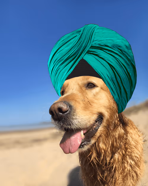 Item #26839399415497039076862880694069072006331525189107682525417321782985575366657 Media