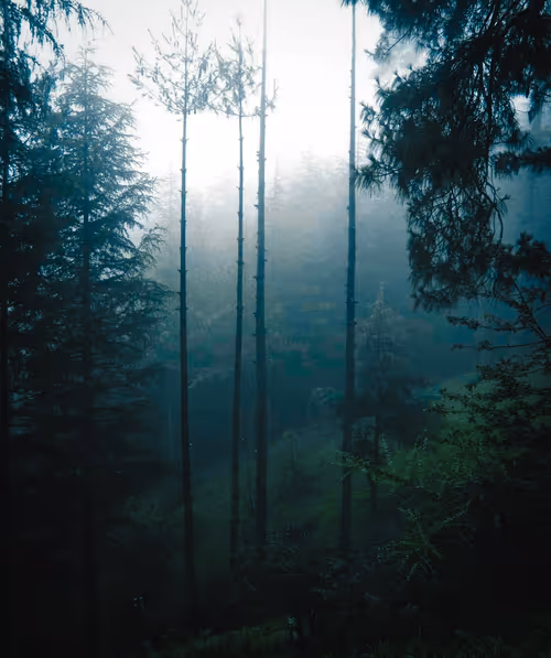 Item #61674817158369570074812173308133646434472829934339960245791451962214293962753 Media