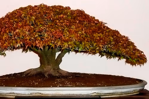 Item #104496985584808197411299000803927756186977529206466580863662692686738048942081 Media