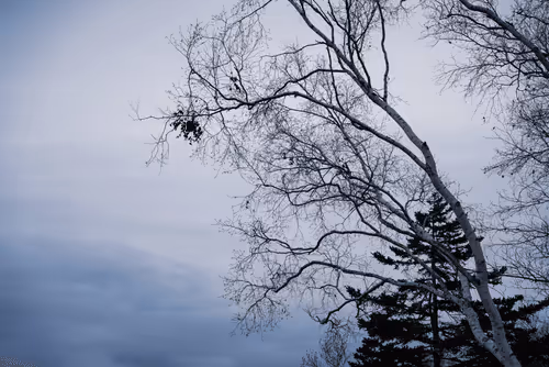 Item #87176501403928380168498398811960935080748737073158175460079780485738333732865 Media