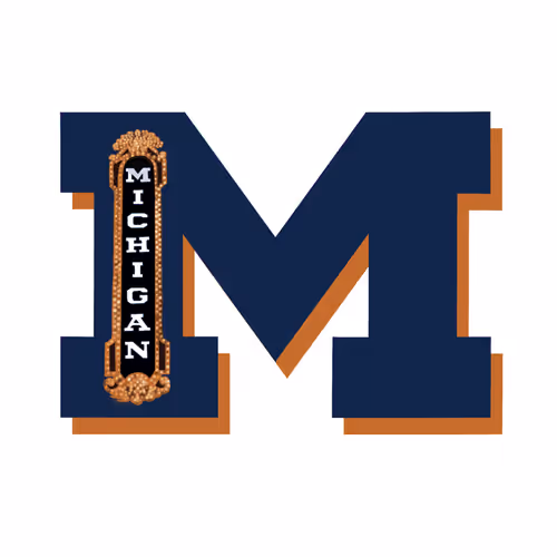 Item #46322975288224761244925255528341888857266109806831902295509339601650073993217 Media