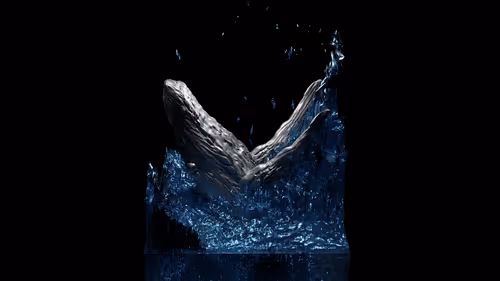 Item #34407012467013264369072826680281558624243883765584913843852975034160245637121 Media