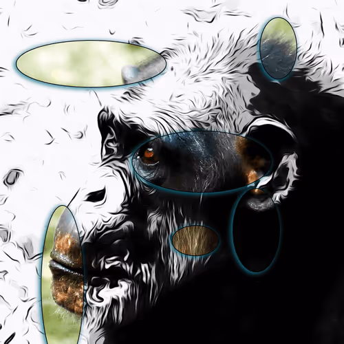 Item #60839276870702459536115980663435026977207856631347422568339333176804197269505 Media