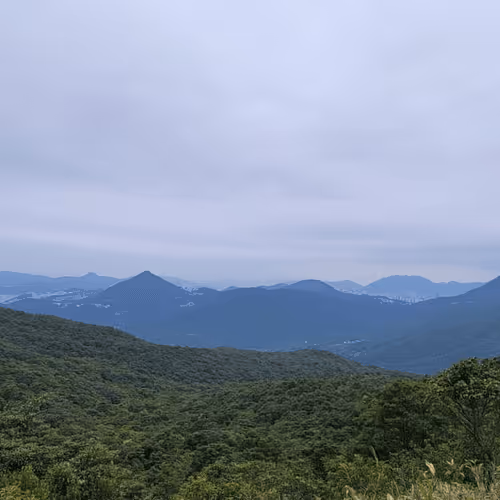 Item #55498827453282751112994663474612527609893380765469579837476847562740727808010 Media