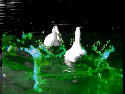 Item #36646306536746230901990345122529070260663114119276003458655038369776088907777 Media