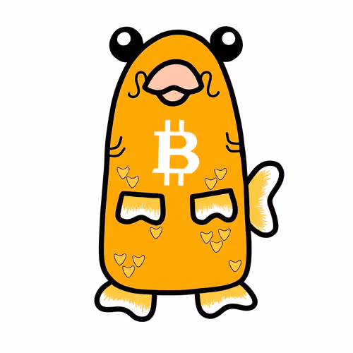 EVO KOI