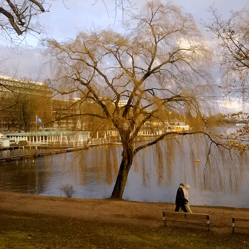Walk in the park