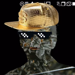 21688527815507990779780435242269546376679550267989735943769095263529270771713