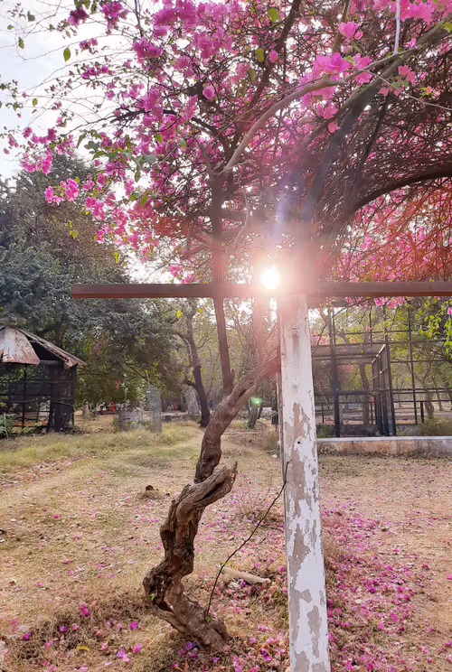 Item #86460548825896395183188707427462696963522650148758793724109723180169991028737 Media