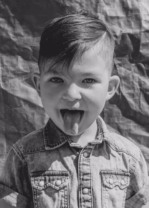 Item #76265303234218797531395326780060407197600721664743999430449730604271763718145 Media