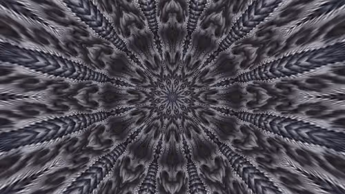 Item #68482955806520483451555942985532339762862755965162899014897512768551344144385 Media