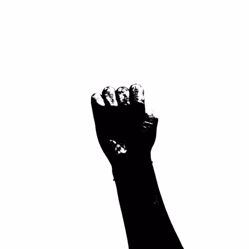 Item #31539791034023698532650734174041438337873419671347002454544730875606991896577 Media