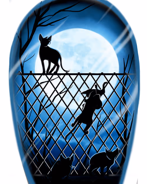 Item #110224139393026787485664544445042093454165524436383658476363121596862610538497 Media