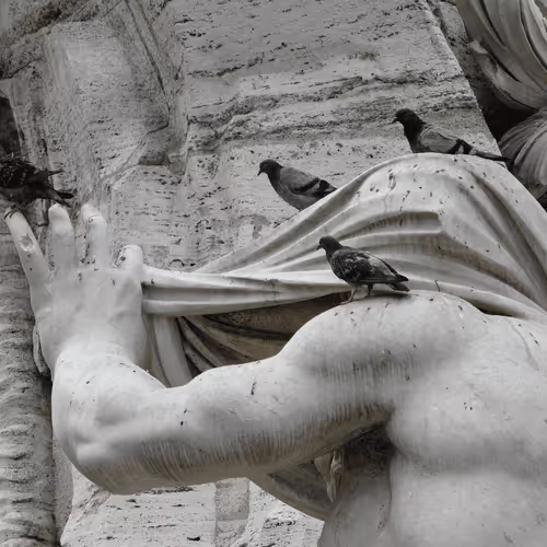 Item #54092708251689304060008626725907944876680074354438048784149165946413036601345 Media