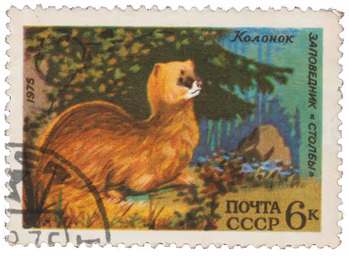 Item #36928828717643675900437569795538987988773281266085500979873831921970325749761 Media