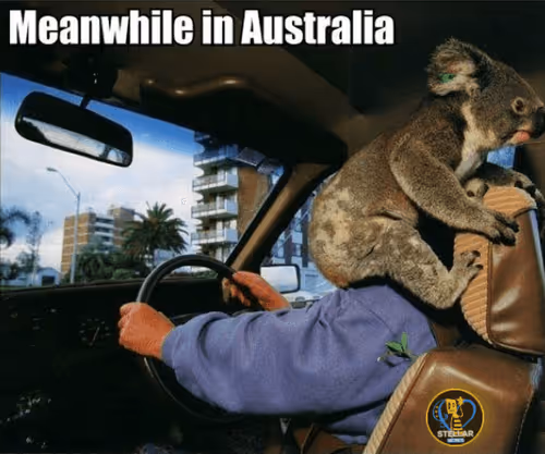 Item #80317800320504061765698405195946639527219012869663641548799070430487677763585 Media