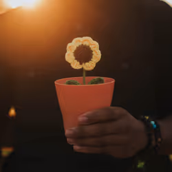 24254534113002831667604478980442589605007155413265616638335107411326642683905