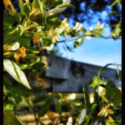 3787080761074609709675817509753112159059746763483256848434353765604105650177