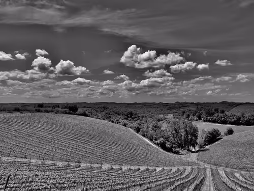 Item #44700108579651333138667542629820837396884608340507399849221760742847238111233 Media