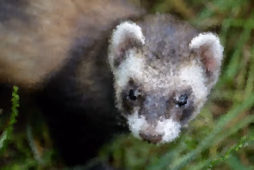 Item #84847574650965292404971500826691156411633346710644691667011505921420897026049 Media