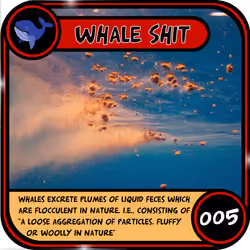 Big Shit #004
