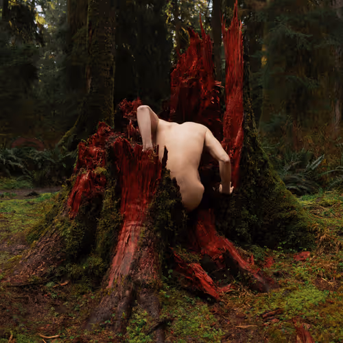 Item #78290495778488024413402900412975028234166831643233263215137554396754290409473 Media