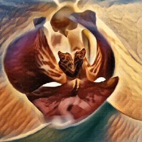 Item #91003447220106575145776258190882782768277350106732937302853409353755869052929 Media