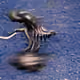 94243195989531463009635302461386239898902762700553972369094784984606501240833