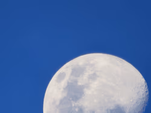 Item #78774018974347764357765192518377150739749637856503949941232678354501911969793 Media