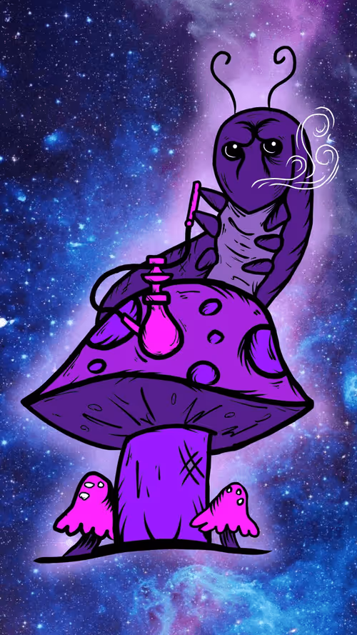 Item #24030009313580026096534545344150739844378333214511987879249605544657893195777 Media