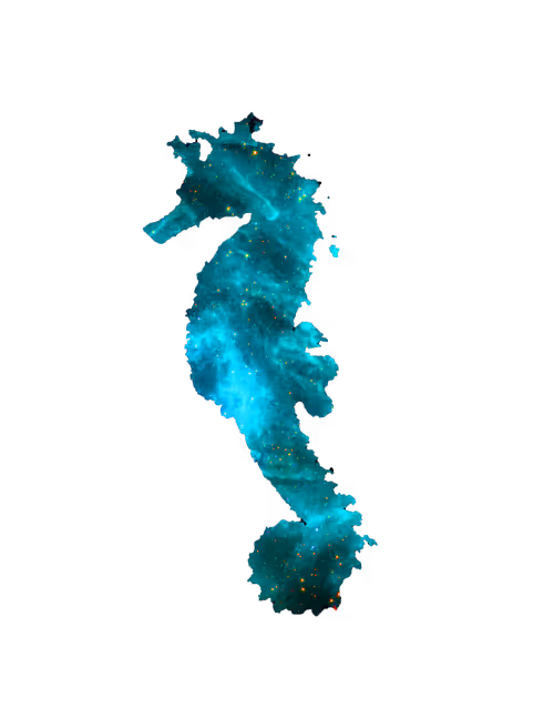 Item #53377754758890760515865137993423849199241633357452651826099061862160557670500 Media