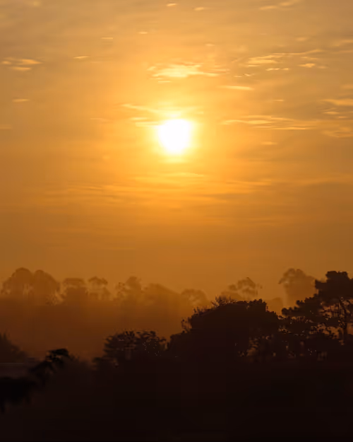 Item #54053091687754538640271046822082760989743948860785190547878261618919061061633 Media