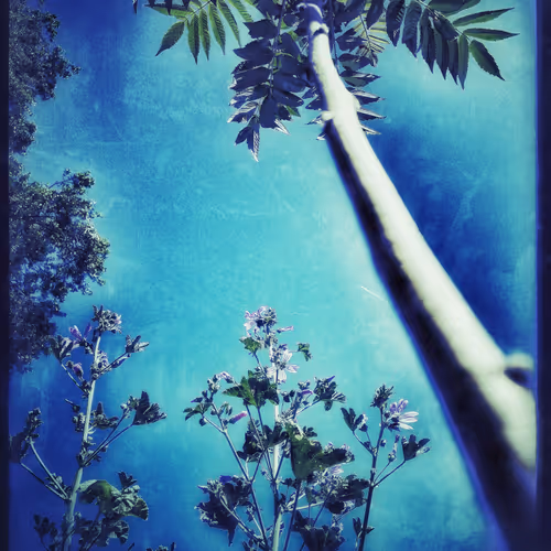 3787080761074609709675817509753112159059746763483256848434353843669431222273