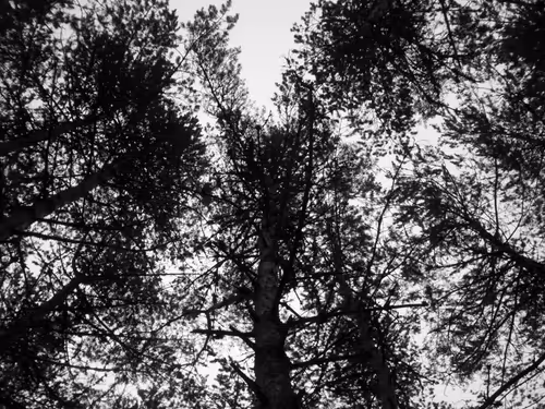 Item #107742627867956892364714120184147413803821811265510288122929724893842362073089 Media