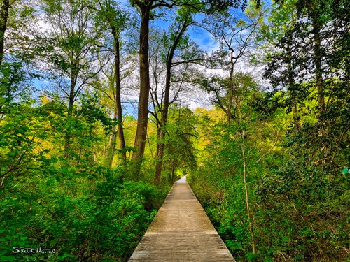 The Greenest Path