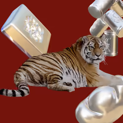 Year of the Tiger #10