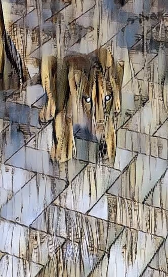 Item #74219696798626746401297041482615341492122256357128370525580700464761406488577 Media