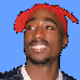 99646725763887461208853118840568607003701164489237323477481622266825509175297