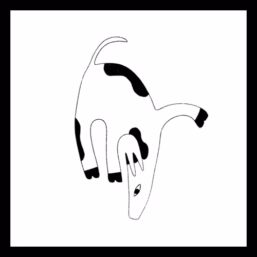 Item #5320088112677733545952369768445350428421303991645855152458176112133285085185 Media