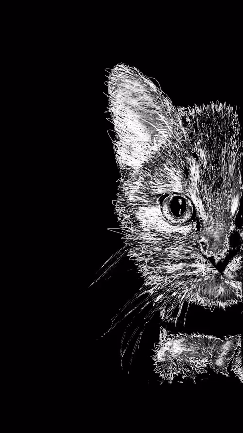 Item #20286817641922993541065929101952433978531825078991625494647867572307147882497 Media