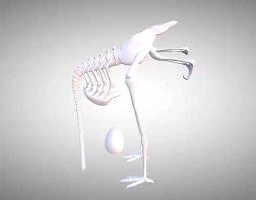 Item #14054359962084667602478209467885636352837230192633355985806769863668568948741 Media