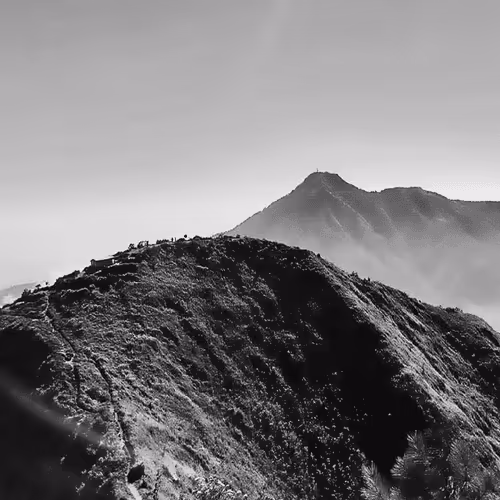 Item #31624274509119207472621893609913632294592170804295754614641563348171529125889 Media